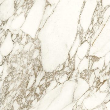 Gresie / Faianta Anima Ever 9mm - Caesar - Dimensiune 120x120 cm