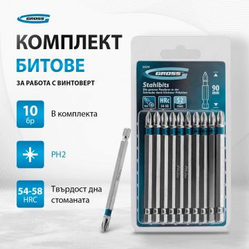 Set Biti PH2 x 90 mm - Gross